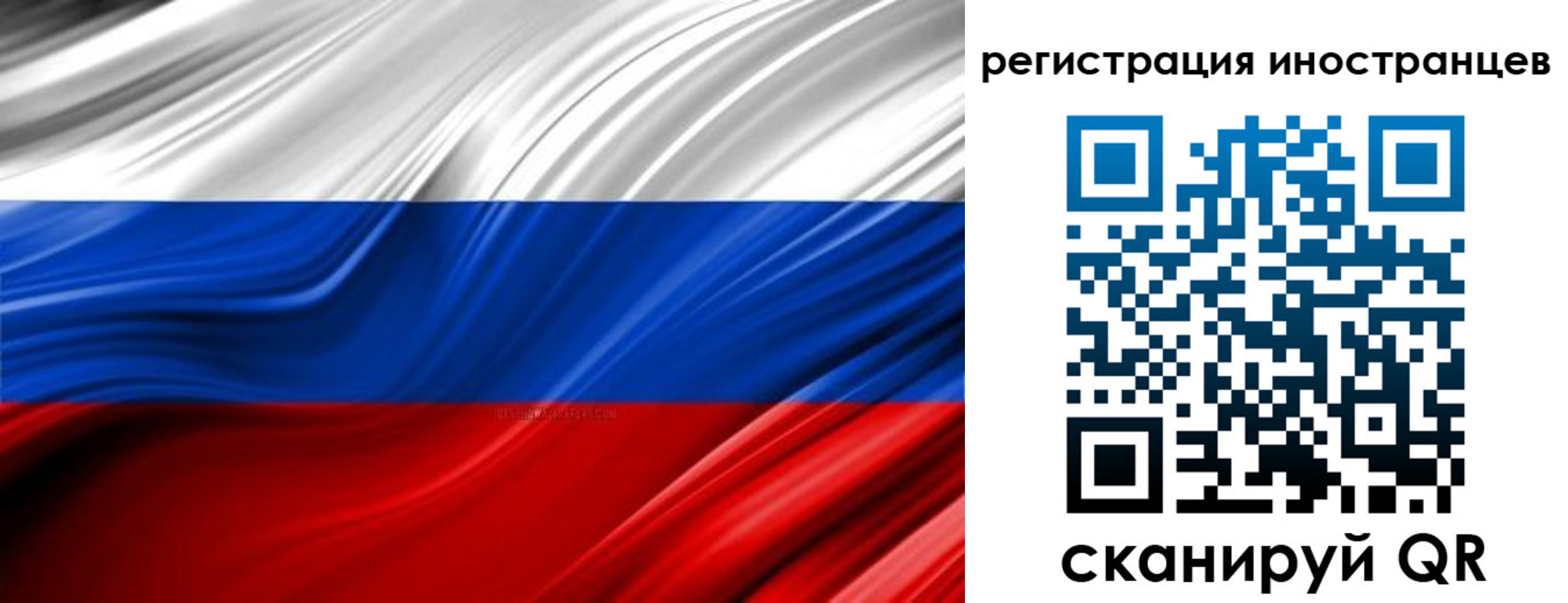 миграционный учет в Калининградской области